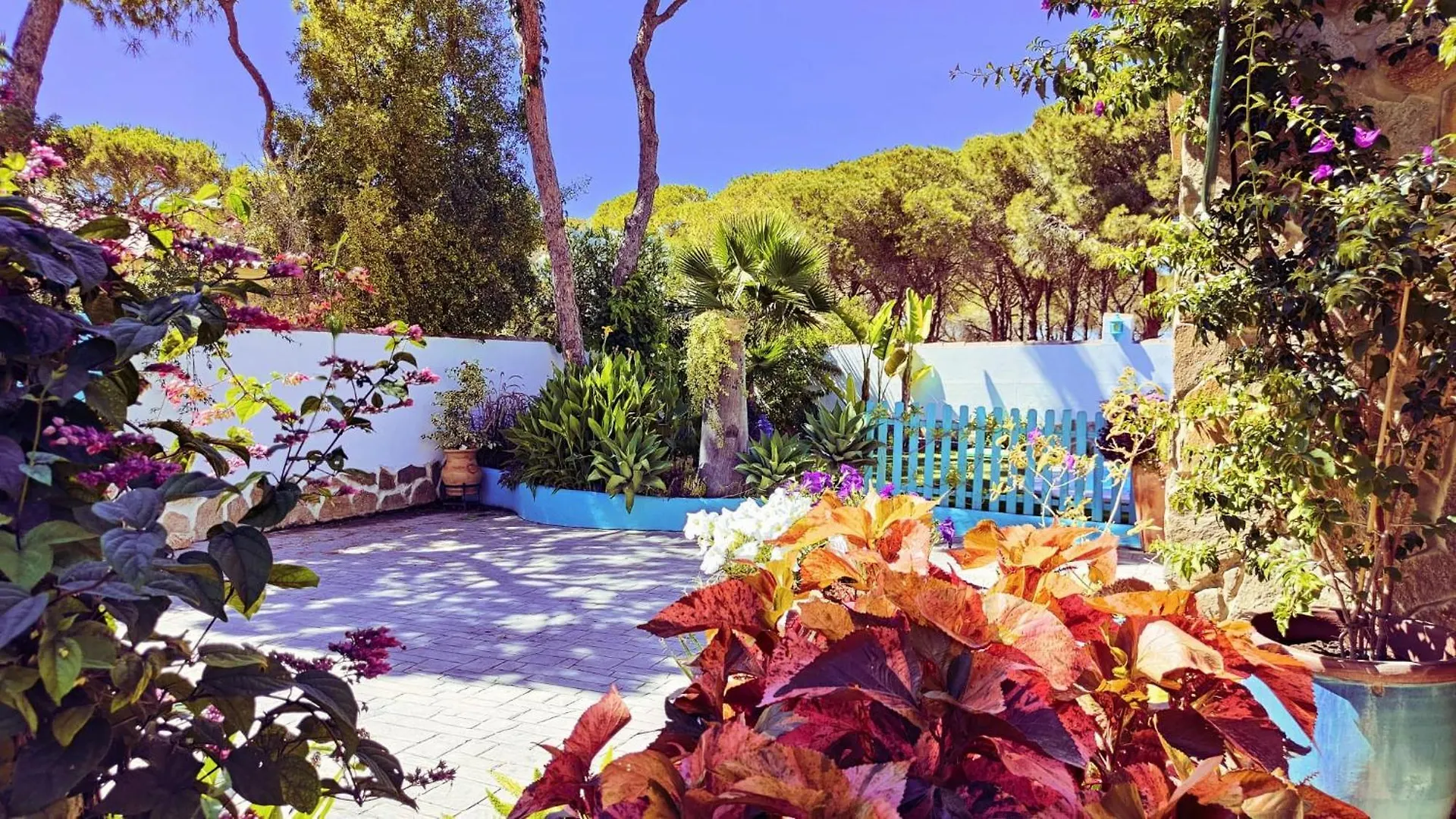 Chalet Villa Zahara Chiclana de la Frontera Spain